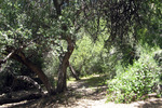 photo thumbnail #7