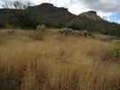 photo thumbnail #9