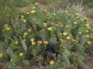 photo thumbnail #11