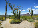 photo thumbnail #13