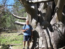 photo thumbnail #2