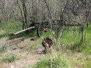photo thumbnail #5