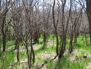 photo thumbnail #7