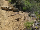 photo thumbnail #10