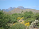 photo thumbnail #5