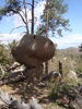 photo thumbnail #6