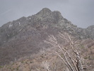 photo thumbnail #14