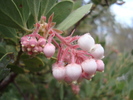 photo thumbnail #15