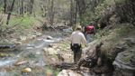 photo thumbnail #14