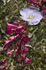 photo thumbnail #15