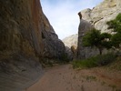 photo thumbnail #13