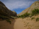 photo thumbnail #14