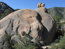 photo thumbnail #11