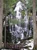 photo thumbnail #4