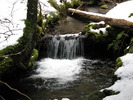 photo thumbnail #6
