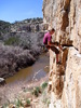 photo thumbnail #6