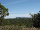 photo thumbnail #14