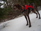 photo thumbnail #2