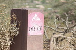 photo thumbnail #12