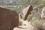 photo thumbnail #14