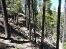 photo thumbnail #5