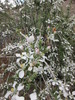 photo thumbnail #13