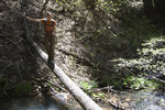 photo thumbnail #10