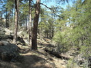 photo thumbnail #2