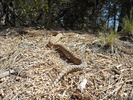 photo thumbnail #7