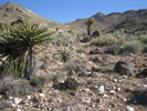 photo thumbnail #4