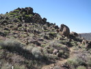 photo thumbnail #6