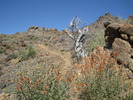 photo thumbnail #15