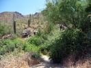 photo thumbnail #4