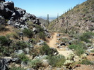 photo thumbnail #5