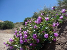 photo thumbnail #12