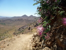 photo thumbnail #15