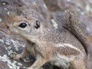 photo thumbnail #1
