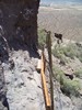 photo thumbnail #12