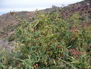 photo thumbnail #15