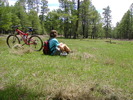 photo thumbnail #1