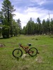 photo thumbnail #2