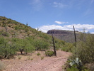 photo thumbnail #2