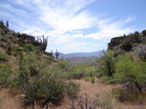 photo thumbnail #3