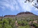 photo thumbnail #5
