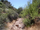 photo thumbnail #13