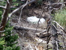 photo thumbnail #11