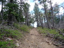 photo thumbnail #5