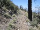 photo thumbnail #6