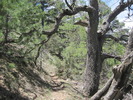 photo thumbnail #8