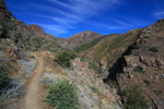 photo thumbnail #2
